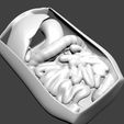 1219bf263308582a749431816aa942e1_display_large.jpg Fichier STL gratuit Corporeal - Un projet de dissection humaine・Design pour imprimante 3D à télécharger