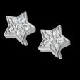 12.jpg Star Stud Earring