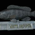 White-grouper-statue-20.png fish white grouper / Epinephelus aeneus statue detailed texture for 3d printing