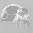 Screenshot-2024-10-26-095915.png Primal Beast Fangs Skull