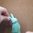 Springy Rabbit (2)