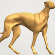 TDA0530 Skinny Dog 02 A02.png Télécharger fichier gratuit Chien maigre 02 • Design à imprimer en 3D, GeorgesNikkei