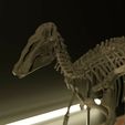 5.jpg Edmontosaurus skeleton