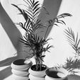 1665909337508.jpg OMEGA Planters