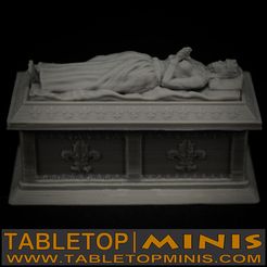 A_comp_photos.0001.jpg Download STL file Queens Stone Sarcophagus • 3D print template, TableTopMinis