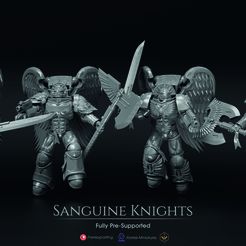 correct_sanguine_knights_all_small.jpg Sanguine Knights - Truescale Angels Building Kit