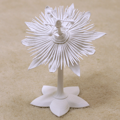 Capture_d__cran_2015-07-21___16.17.26.png Free STL file Passion Flower・3D printer design to download