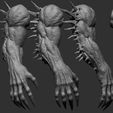 35.jpg 25 Creature arms 3D model ZTL+OBJ+STL