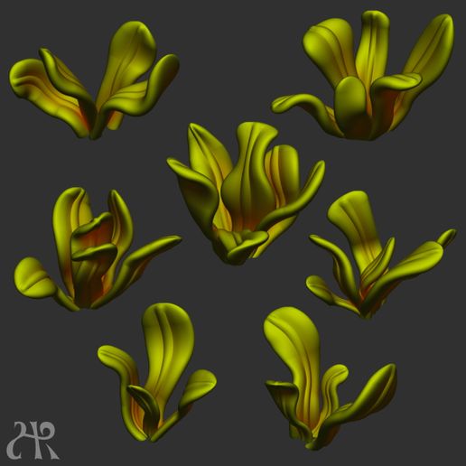 Miniature plants "crass" set (x7) 3D model