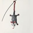 6.jpg Hanging Opossum