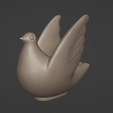 FOTO2.png DOVE / AVE / PIGEON / PIGEON / DOVE