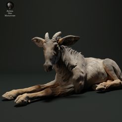 serow_3.jpg 3D file Sumatran Serow Lying・3D printable model to download