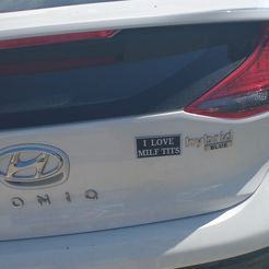 IMG_20210609_1524596322.jpg STL file Milf Tits car emblem・3D printing template to download