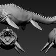 T3.jpg OBJ-Datei Mosasaurus herunterladen • Modell zum 3D-Drucken, F-solo