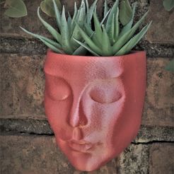 Zen0.jpg STL file Plant Zen Planter Vase Wall Decoration Head Zen No Supports Print in place・3D print design to download