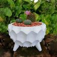 dahlia1.jpg STL file Dahlia Flower Pot・3D printing model to download, DI_joseantoniosv