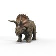 Triceratops.1153.3.jpg Triceratops - Hyper-Realistic Dinosaur 3D Model