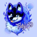 tridys3d