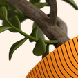 H33WORKS_POTnTRAY_3.png H33 DRIP PLANTER
