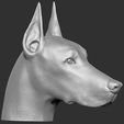 7.jpg Dobermann head for 3D printing