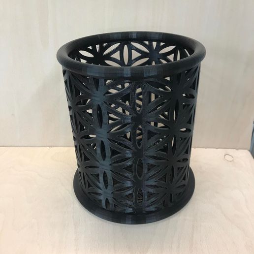 Flower of Life Busket 3D model