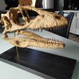 IMG_20190608_143519.jpg Download OBJ file Deinonychus Skull • 3D print design, arric
