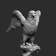 falcon.jpg Falcon model