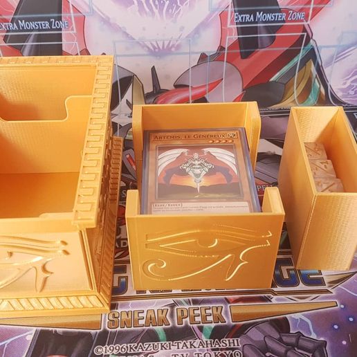 210750237_1433162193698873_8889374082527678051_n.jpg DeckBox sarcophagus