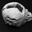 melted-darth-vader-helmet-star-wars-skull-3d-print-model-3d-model-obj-mtl-stl (10).jpg Melted Darth Vader Helmet - Star Wars Skull 3D Print model