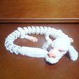 IMG_20221229_165603.jpg Falkor - flexible - upgraded