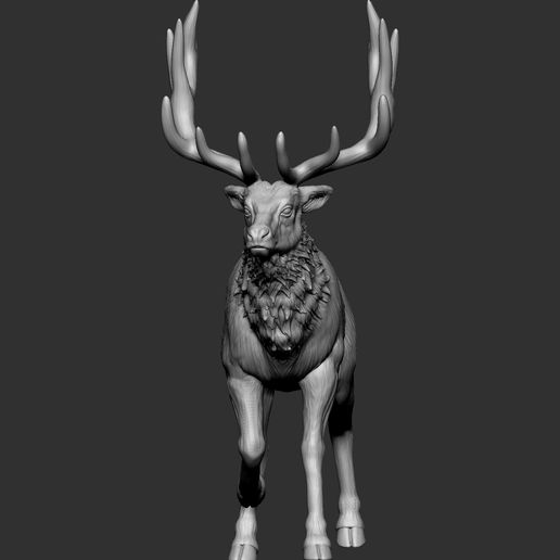 Elk-2jpg-3.jpg Elk - 2