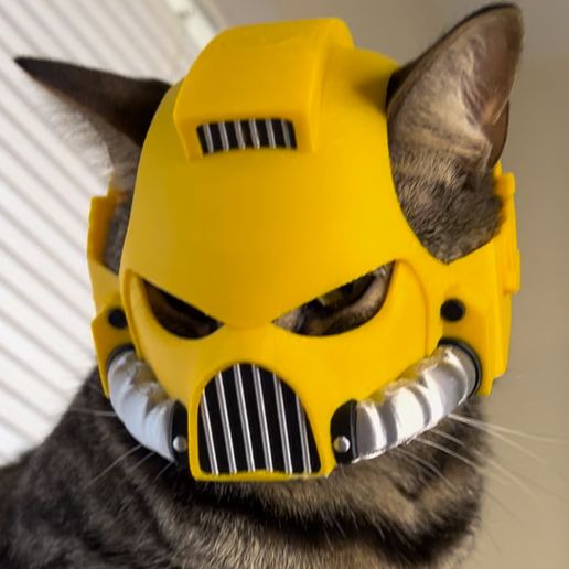 IMG_3735.jpeg SpaceMarine Cat Helmet Mark VIII