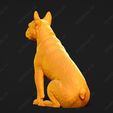 2387-Boston_Terrier_Pose_05.jpg Boston Terrier Dog 3D Print Model Pose 05