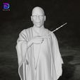 4.jpg Lord Voldemort Harry Potter Action Figures Custom 3D Print Model 3D print model