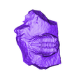 trilobite-P149623_.stl Trilobite (P149623)
