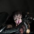 AVP_005.jpg AvP Diorama / Bust - Alien VS Predator inspired original design