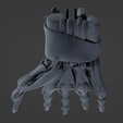 h5.png Hand muscle