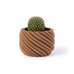XXXX3288.jpg Archivo STL Plantador de cactus - Whirly・Idea de impresión 3D para descargar, Nosekdesign