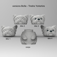 versions.png Caja Yorkshire