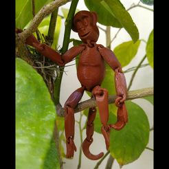 IMG_20210216_133017026.jpg STL-Datei Monkey print in place・Modell zum Herunterladen und 3D-Drucken