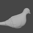 Foto_1.png Dove / Bird / Pigeon / Dove