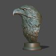 29.jpg Eagle