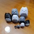 WhatsApp-Image-2023-08-26-at-16.15.08-3.jpeg Cute Cat Matryoshka
