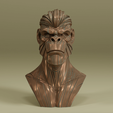 Screenshot-2025-03-04-at-9.22.31 pm.png APE.X - ANCESTOR PRIME - CHIMP MONKEY BUST