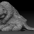 2.PNG Avatar The Last Airbender Baby Bisons