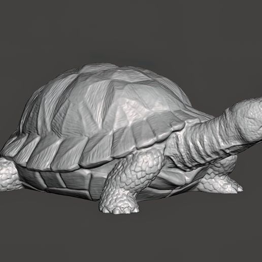 Turtle-Figurine-Pic-5.jpg Turtle Figurine