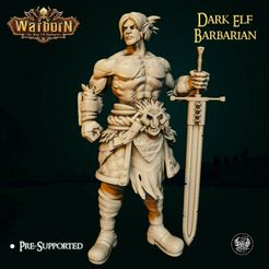 resize-dark-elf-v1-1.jpg Dark Elf Barbarian