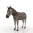 Zebra_1.jpg Zebra 3D model
