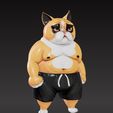 Cat-boxer1.jpg Cat boxer