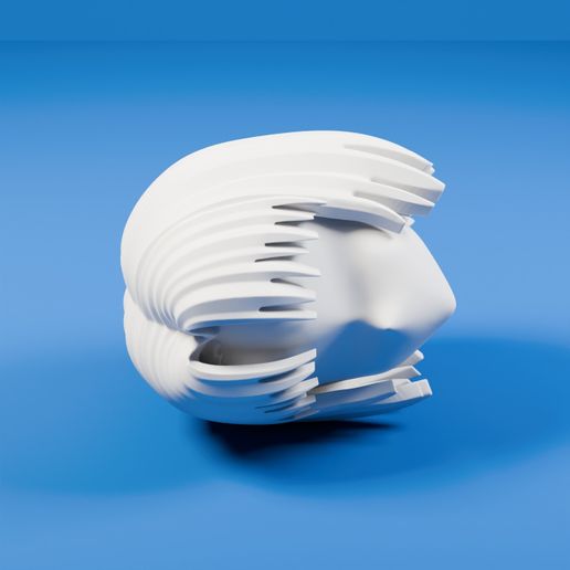 Anime Hair Head Shell for Figure — 3D Printable Collector | Fan Gift | Tabletop Display